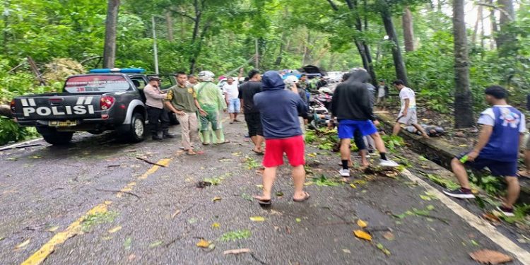 Minimalisir Pohon di Area Cagar Alam Tumbang, BKSDA dan Unsur Pemkab Sukabumi Lakukan Penebangan