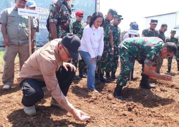 Wakbup Sukabumi Dampingi Pangkostrad Panen Raya Jagung di Ciemas