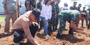 Wakbup Sukabumi Dampingi Pangkostrad Panen Raya Jagung di Ciemas