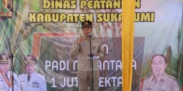 Dispertan Kabupaten Sukabumi Gelar Panen Raya Padi di Bapoktan Karya Tani