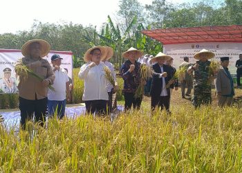 Bupati dan BI Hadiri Panen Raya di Ponpes Assalam Putri Sukabumi