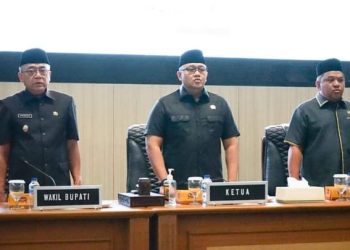 Raperda Perlindungan dan Pemenuhan Hak Penyandang Disabilitas Dibahas, Ini Yang Disampaikan Wakil Bupati