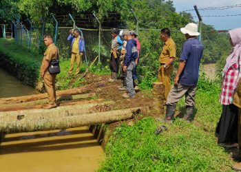 570 Hektar Sawah Terancam Krisis Pasokan Air, Desa Cimanggu Layangkan Surat ke Dinas PU Kab. Sukabumi