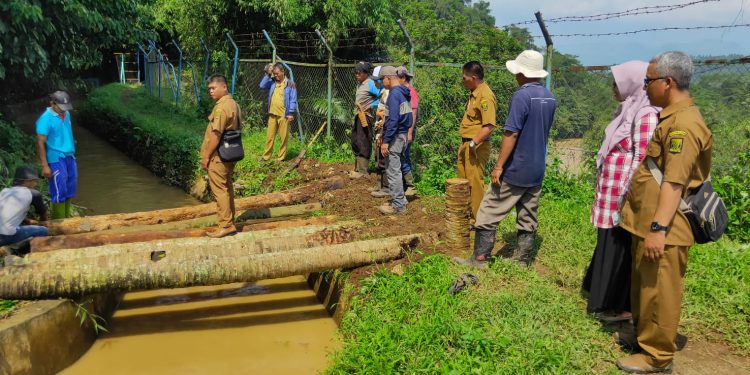 570 Hektar Sawah Terancam Krisis Pasokan Air, Desa Cimanggu Layangkan Surat ke Dinas PU Kab. Sukabumi