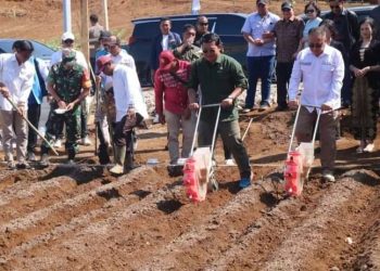 Wakil Bupati Sukabumi H. Iyos Somantri Hadir Kegiatan Tanam Perdana Sorgum Di Desa Kertajaya Simpenan