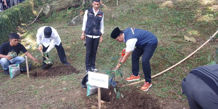 DLH Kota Sukabumi Gelar Tanam 800 Bibit Pohon, Di Hari Lingkungan Hidup Sedunia 2023