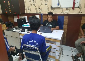 Produksi Ganja, Warga Citamiang Kota Sukabumi Dibekuk Polisi