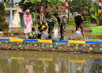 Dandim 0607/ Kota Sukabumi Beri Bantuan Benih Lele dan Nila