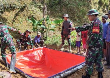 Ajarkan Budidaya Lele, Satgas Yonif 310/KK Undang Warga untuk Mentransfer Ilmu