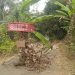 Jalan Cilaksana Rusak Parah, Warga Tutup Akses Jalan Dengan Pohon Pisang dan Ranting