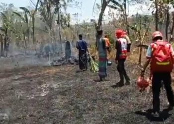Kebakaran Lahan di Kapitan Cikundul, Ini Himbauan Damkar Kota Sukabumi