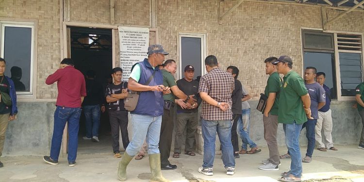 Kesepakatan Tidak di Indahkan, Puluhan Massa Datangi Kantor PT Cijambe Indah