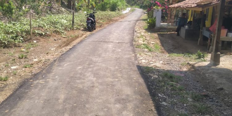 Ruas Jalan Menuju Desa Tanjung Sari Diperbaiki Dinas PU, Kades Dilah Ucapkan Ini