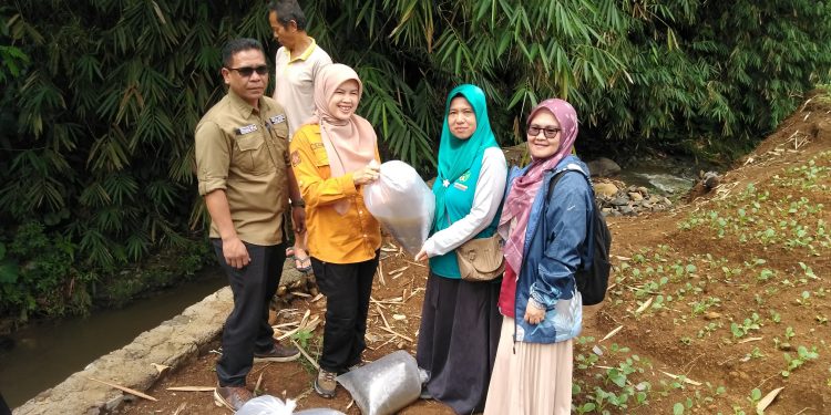 Pemerintah Desa Cikembang Melalui Dinas Perikanan Melaksanakan Penaburan Benih Ikan di Sungai Cicurug