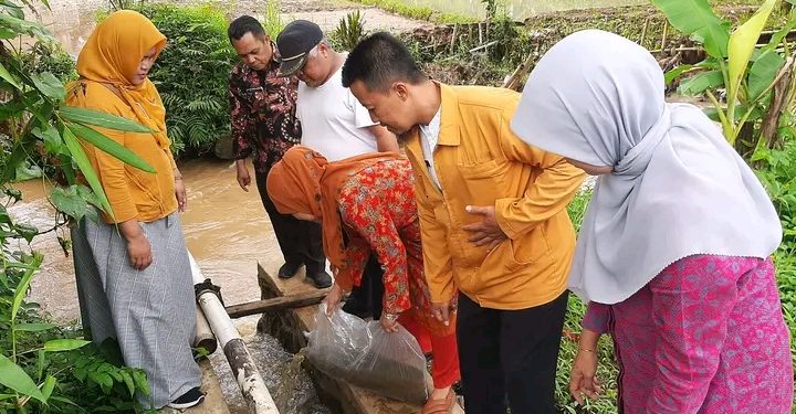 Dinas Perikanan Kab. Sukabumi Tebar Ribuan Bibit Ikan Nilem di Sungai Cipamatutan Bojonggenteng