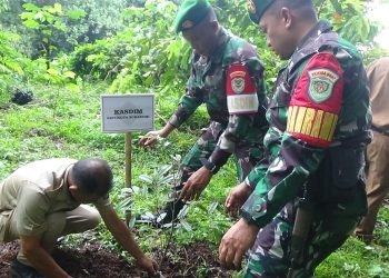 Kegiatan Bhakti TNI Peduli Lingkungan dengan Giat Penanaman Pohon