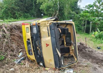 Diduga Rem Blong, Truk Bermuatan Pasir Terjun Bebas Ke Sawah Milik Warga