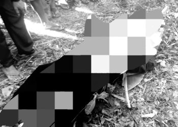 Niat Memancing Ikan di Sungai, Seorang Warga Ciemas Sukabumi Malah Tewas Tenggelam