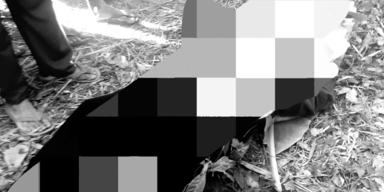 Niat Memancing Ikan di Sungai, Seorang Warga Ciemas Sukabumi Malah Tewas Tenggelam