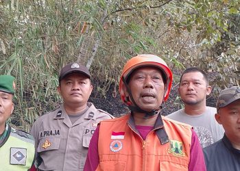 Si Jago Merah Melahap 2 Hektar Lahan Kosong Di Cikembar