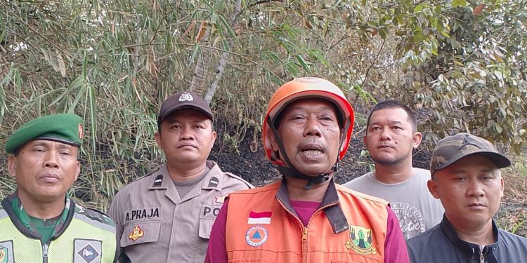 Si Jago Merah Melahap 2 Hektar Lahan Kosong Di Cikembar