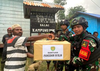 Kali Ini Pegunungan Bintang Papua Jadi Sasaran Target Serbuan, Pangdam III/SLW Utus Satgas Yonif 310/KK, Ada Apa?
