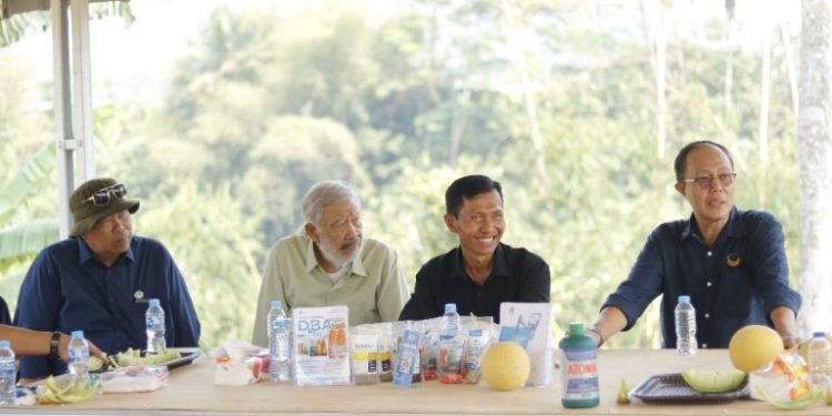 DPP NasDem Ayep Zaki, Buktikan Potensi Budidaya Melon di Sukabumi