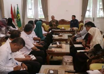 Tim Monev Kemenkes RI Kunjungi Pemkab Sukabumi, Ini Kata Wabup