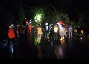 Jalan Nasional Bogor – Sukabumi Tertutup Longsoran, Kendaraan Gunakan Jalan Alternatif