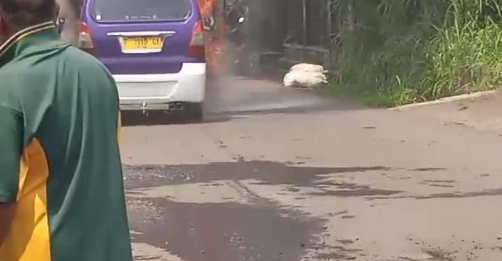 Diduga Alami Kebocoran Saluran Bensin, Sebuah Angkot Terbakar di Nagrak