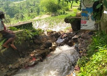 Pasca Jebolnya Irigasi di Tiga Desa, Camat Warungkiara Tinjau Lokasi Bencana