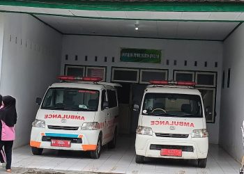 Pria Di Tebo Ditemukan Tewas Tergantung di Pohon Usai Bunuh Mantan Istri