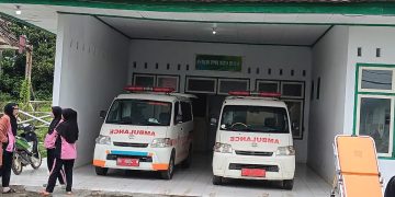 Pria Di Tebo Ditemukan Tewas Tergantung di Pohon Usai Bunuh Mantan Istri