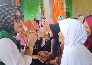 Salurkan Bantuan, Dilla Nurdian Srikandi PPP Kab. Sukabumi Tinjau Langsung Korban Bencana di Palabuanratu