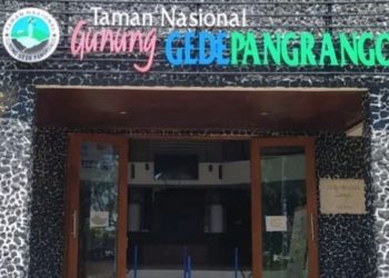 Tiga Bulan Kedepan Aktivitas Pendakian Kekawasan Gunung Gede Pangrango di Tutup Sementara