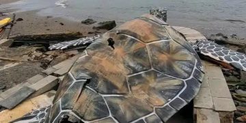 Ornamen Penyu Miliaran di Alun-alun Gadobangkong Viral Berbahan Bambu dan Kardus, Ini Kata Sekda Ade Suryaman