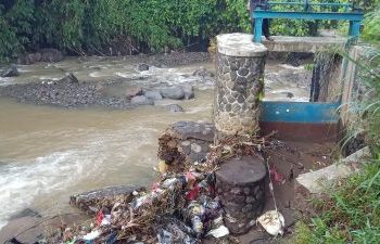 Petani Galau Bendungan Jaringan DI Lewi Bangga Cibadak Rungkad, Satu Tahun Sudah Puluhan Hektar Sawah Kekeringan Massal