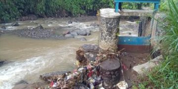 Petani Galau Bendungan Jaringan DI Lewi Bangga Cibadak Rungkad, Satu Tahun Sudah Puluhan Hektar Sawah Kekeringan Massal