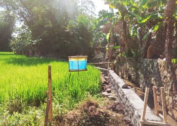 Desa Sasagaran Realisasikan Dana Desa Tahap 1 Tahun 2025 Bangun TPT, Ini Nilai Anggaranya