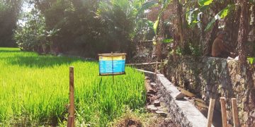 Desa Sasagaran Realisasikan Dana Desa Tahap 1 Tahun 2025 Bangun TPT, Ini Nilai Anggaranya