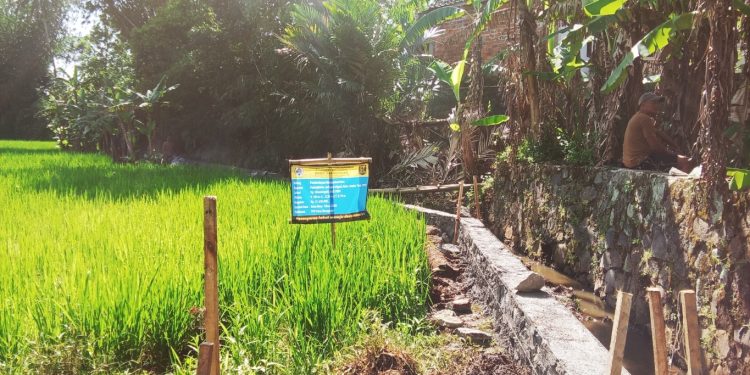 Desa Sasagaran Realisasikan Dana Desa Tahap 1 Tahun 2025 Bangun TPT, Ini Nilai Anggaranya