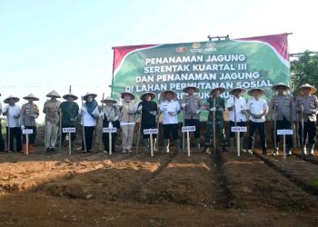 Penanaman Jagung Serentak Kuartal III, Wabup Optimalkan Kab. Sukabumi Jadi Lumbung Pangan Nasional