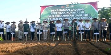 Penanaman Jagung Serentak Kuartal III, Wabup Optimalkan Kab. Sukabumi Jadi Lumbung Pangan Nasional
