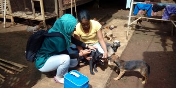 Jaga Status Bebas Rabies Disnak Vaksinasi Ratusan Anjing dan Hewan Peliharaan di Cikembar