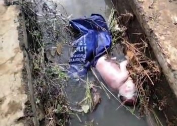 Geger Mayat Bayi Laki-laki Ditemukan Warga di Selokan Sawahlega Cibatu