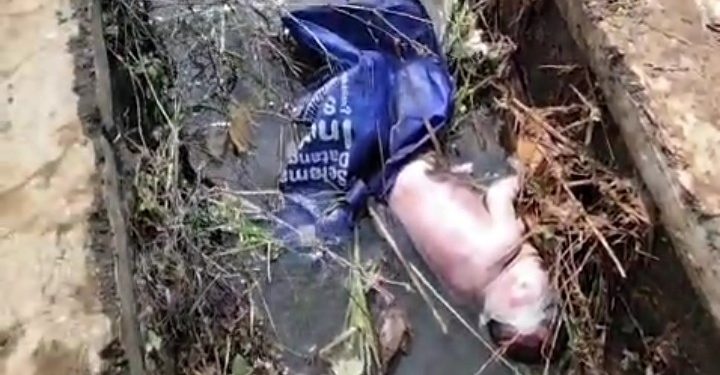 Geger Mayat Bayi Laki-laki Ditemukan Warga di Selokan Sawahlega Cibatu