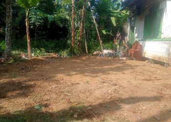 Rumah Janda Tua di Desa Bencoy Jauh Dari Kata Layak Huni, Ini Tanggapan Kades Hasanudin