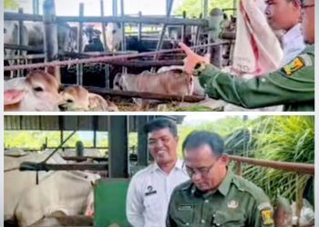 drh. Asep Kurnadi : Disnak Komitmen Perkuat Program Pembinaan Berbasis Perternakan Bagi Warga Binaan Lapas Kelas IIA Warungkiara