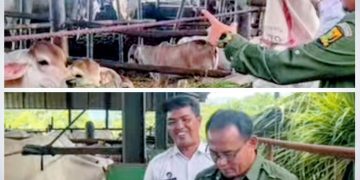 drh. Asep Kurnadi : Disnak Komitmen Perkuat Program Pembinaan Berbasis Perternakan Bagi Warga Binaan Lapas Kelas IIA Warungkiara