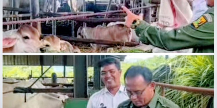 drh. Asep Kurnadi : Disnak Komitmen Perkuat Program Pembinaan Berbasis Perternakan Bagi Warga Binaan Lapas Kelas IIA Warungkiara